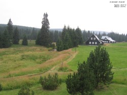 Crane House