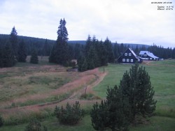 Crane House