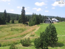 Jeřábkovna