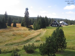 Crane House