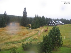 Jeřábkovna