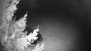 Snímek    27.10.2025 v 00:00