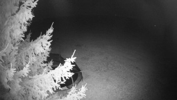 Snímek    27.10.2025 v 02:00
