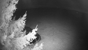 Letiště Třebíč - Pohled na východ - 28.10.2025 v 17:45 Letiště Třebíč - Pohled na východ - 28.10.2025 v 17:45