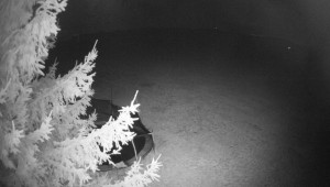 Letiště Třebíč - Pohled na východ - 28.10.2025 v 19:15 Letiště Třebíč - Pohled na východ - 28.10.2025 v 19:15