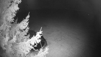 Snímek    28.10.2025 v 21:45