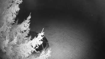 Snímek    28.10.2025 v 23:15