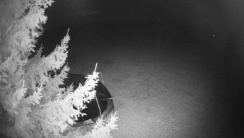 Snímek    29.10.2025 v 00:30