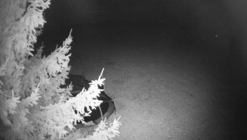 Snímek    29.10.2025 v 02:45