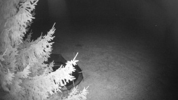 Snímek    30.10.2025 v 02:15