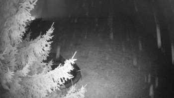 Snímek    30.10.2025 v 04:45