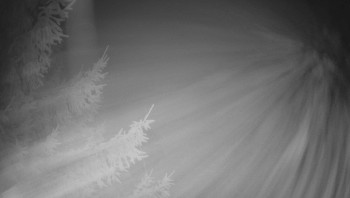 Snímek    30.10.2025 v 05:00