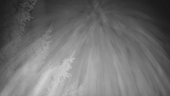 Snímek    30.10.2025 v 05:15