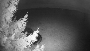 Snímek    31.10.2025 v 18:45