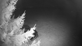 Snímek    1.11.2025 v 03:00