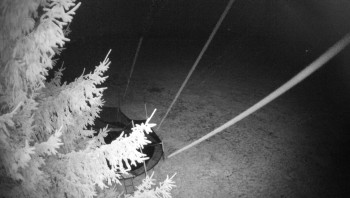 Snímek    2.11.2025 v 23:30