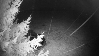 Snímek    2.11.2025 v 23:45