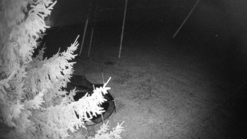 Snímek    3.11.2025 v 00:15