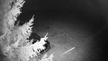 Snímek    3.11.2025 v 00:30