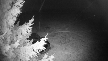 Snímek    3.11.2025 v 00:45