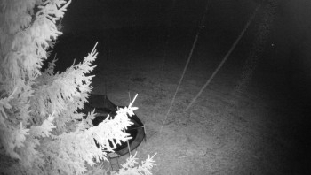 Snímek    3.11.2025 v 03:00