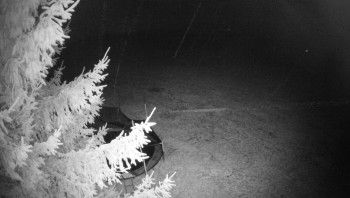 Snímek    3.11.2025 v 03:15