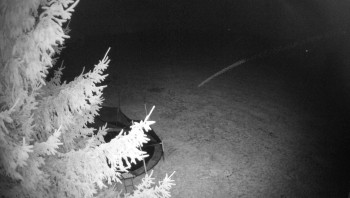 Snímek    3.11.2025 v 03:45