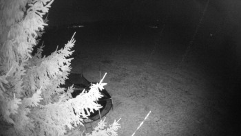 Snímek    3.11.2025 v 05:00