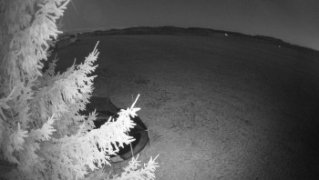 Snímek    3.11.2025 v 17:30