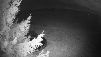 Snímek    3.11.2025 v 23:45