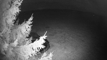 Snímek    4.11.2025 v 02:00