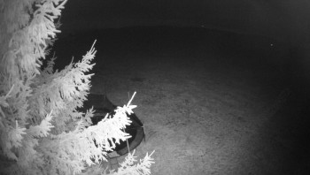 Snímek    4.11.2025 v 04:15