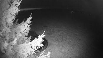 Snímek    4.11.2025 v 05:30