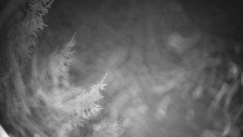 Snímek 5.11.2025 v 01:00