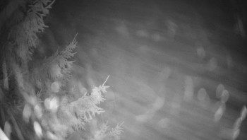 Snímek 5.11.2025 v 01:30