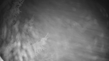 Snímek 5.11.2025 v 01:45