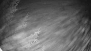 Snímek 5.11.2025 v 02:15