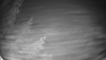 Snímek 5.11.2025 v 02:30