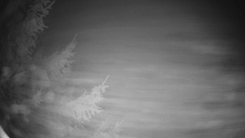 Snímek 5.11.2025 v 03:45