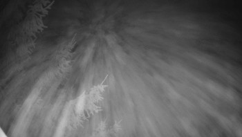 Snímek 5.11.2025 v 04:30