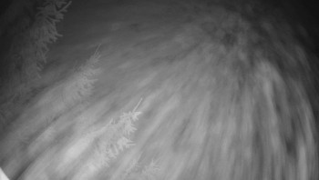 Snímek 5.11.2025 v 04:45