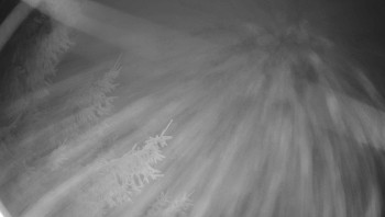 Snímek 5.11.2025 v 06:15