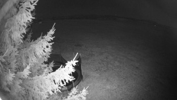 Snímek 6.11.2025 v 02:45