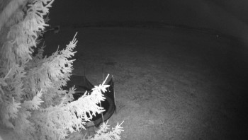 Snímek 6.11.2025 v 04:15