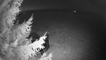 Snímek 6.11.2025 v 05:30