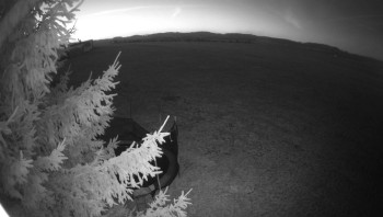 Snímek 6.11.2025 v 06:00