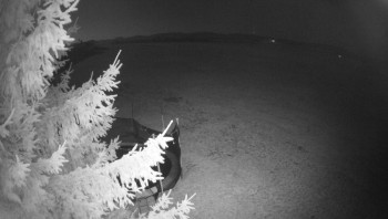 Snímek 6.11.2025 v 19:15