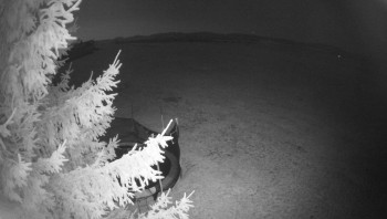 Snímek 6.11.2025 v 20:30