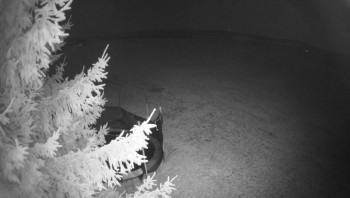 Snímek 7.11.2025 v 02:30