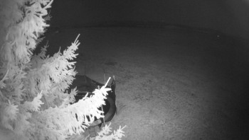 Snímek 7.11.2025 v 03:00